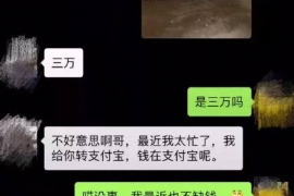 鞍山如何避免债务纠纷？专业追讨公司教您应对之策